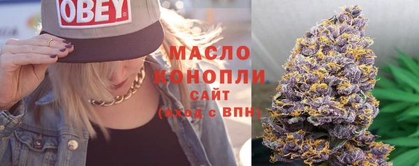 амф Надым
