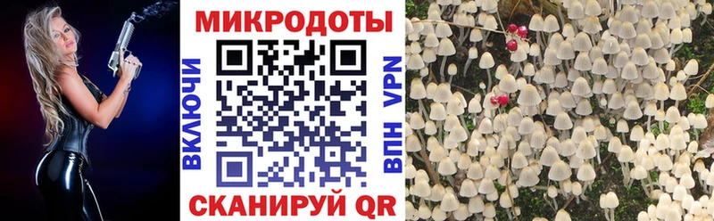 Галлюциногенные грибы Cubensis где купить наркотик Никольск